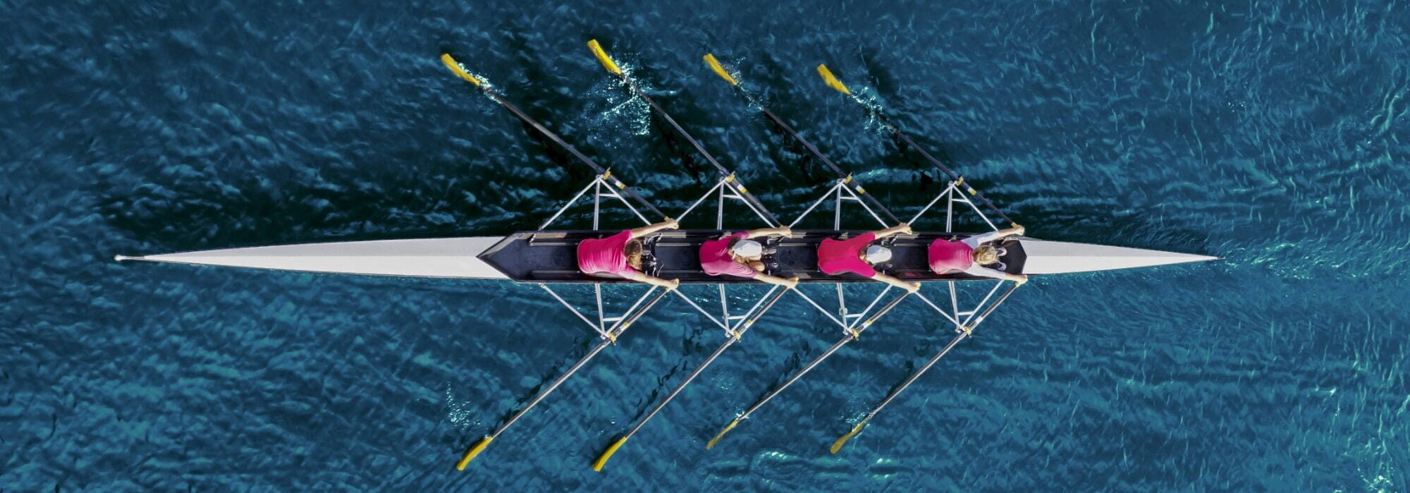 High performance women rowers